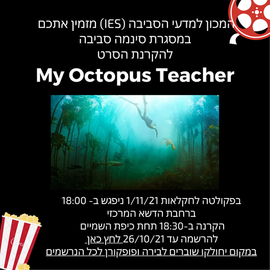 octopus